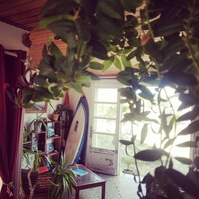 Homestay Evasion